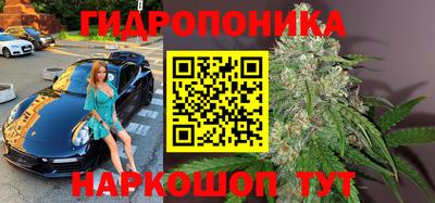 мескалин Камышлов