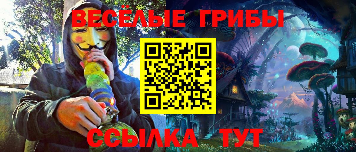 Псилоцибиновые грибы прущие грибы  Вход с VPN  Кунгур 